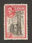 Stamps Sri Lanka -  mujer sacando savia del árbol