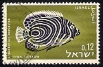 Stamps : Asia : Israel :  Pomacanthus Imperator