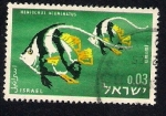 Stamps : Asia : Israel :  Heniochus Acuminatus