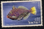 Stamps : Asia : Israel :  Balistapus Undulatus