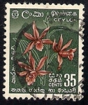 Stamps Sri Lanka -  Ceylon