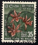 Sellos del Mundo : Asia : Sri_Lanka : Ceylon