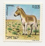 Sellos de Asia - Israel -   Protección Animal (Equus Hemonus)