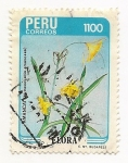 Stamps : America : Peru :  Flora (Amancay)