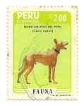 Stamps Peru -  Perro sin pelo del Perú