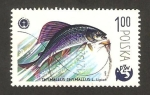Stamps Poland -  centº de la pesca deportiva en Polonia, thymallus thymallus