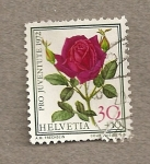 Stamps Switzerland -  Rosa