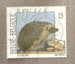 Stamps Belgium -  Erizo