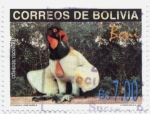 Stamps Bolivia -  Vistas del Departamento del Beni