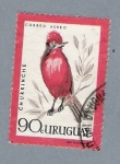 Stamps Uruguay -  Churrinche
