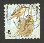 Stamps Germany -  aves amenazadas de extinción