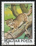 Stamps Hungary -  Felino silvestre