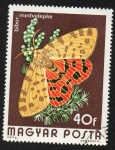 Sellos de Europa - Hungr�a -  Mariposa