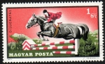 Stamps Hungary -  Equitación