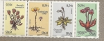 Stamps : America : San_Pierre_&_Miquelon :  Plantas endémicas de la isla