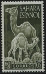 Stamps : Europe : Spain :  Dromedarios