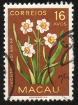 Stamps Asia - Macau -  Jacintos