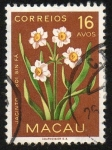 Sellos de Asia - Macao -  Jacintos