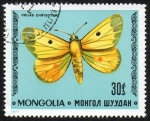 Sellos del Mundo : Asia : Mongolia : Mariposa