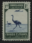 Stamps : Europe : Spain :  Avestruz