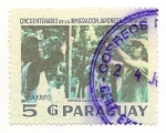 Stamps : America : Paraguay :  Cincuentenario de la Inmigración Japonesa al Paraguay