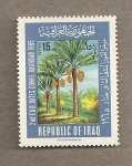 Stamps Asia - Iraq -  Palmeras