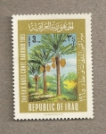 Stamps : Asia : Iraq :  Palmeras