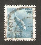 Stamps India -  fauna, grulla sarus