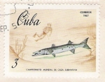 Stamps : America : Cuba :  Campeonato Mundial de caza submarina