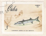 Stamps Cuba -  Campeonato Mundial de caza submarina