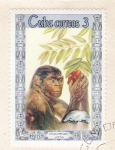 Stamps Cuba -  Pithecanthropus Erectus