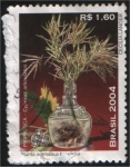 Stamps Brazil -  Priprioca