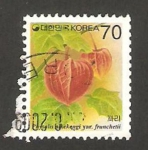 Sellos del Mundo : Asia : South_Korea : flora, physalis alkekengi