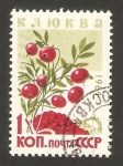 Stamps Russia -  bayas, vaccinium axycoccos