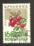Stamps Russia -  bayas, vaccinium vitis ideae