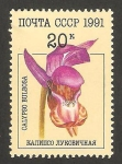 Stamps Russia -  orquídea calypso bulbosa