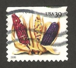 Sellos de America - Estados Unidos -  3766 - Espigas de maiz