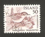 Stamps Europe - Iceland -  pájaros, troglodytes, troglodytes