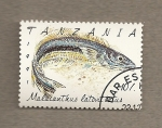Stamps Tanzania -  Pez Malacanthus