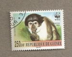 Stamps : Africa : Guinea :  Mono Cercocebus