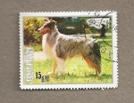 Stamps Bhutan -  Razas de perros