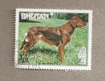 Stamps Asia - Bhutan -  Razas de perros