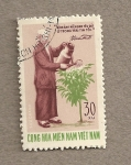Stamps Asia - Vietnam -  Anciano regando planta