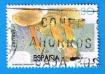 Stamps : Europe : Spain :  nº 3342  Cortinario canelo