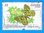 Stamps Spain -  nº 3694  Fauna española en peligro de Extincion ( Parnassius apollo )