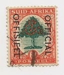 Stamps South Africa -  Arbol de Naranja