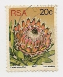 Sellos de Africa - Sud�frica -  Definitives (Protea Magnifica)