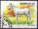 Stamps Azerbaijan -  Caballo