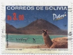 Stamps Bolivia -  Vistas del Departamento de Potosí