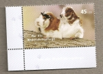 Stamps Germany -  Para bienestar animales